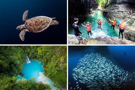 south cebu itinerary|South Cebu Itinerary for 2 Days: Moalboal and Badian .